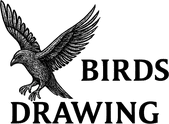 Birds Drawing