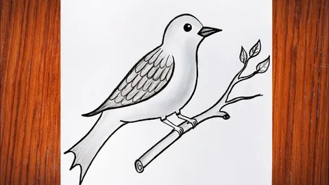 Best Bird Drawing easy