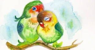 Cute Birds drawing