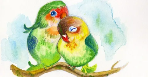 Cute bird drawing with bright colorful feathers and a smiling face.
