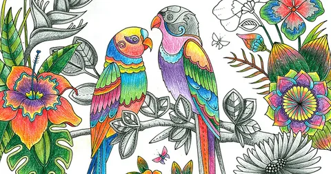 Cute bird drawing with soft pencil shading and detailed feathers.