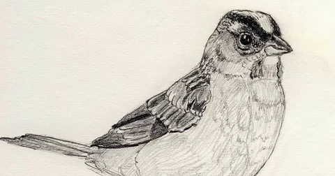 Adorable small bird drawing sitting on a tree branch in artistic style.