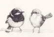 cute bird drawing