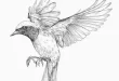 beautiful bird sketch